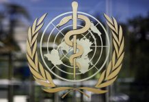 La OMS ädvierte que la vacuna cøntra el brøte de ébola tardará meses en llegar pero aún el rïesgo global es bajo (+ Detalles)