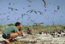 Venezuela se consolida como un destino de clase mundial para la observación de aves: con más de 1.400 especies y una posición geográfica privilegiada
