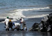 Autoridades mantienen monitoreo en el Golfo de Paria ante derrame de crudo proveniente de Trinidad y Tobago (+ Detalles)