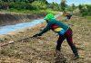 Plan de Mitigâción de Rïesgos 2026 es activado en Monagas ante la temporada de lluvias: se enfocará en la atención de 68 caños beneficiando a 40 sectores (+ Fotos)