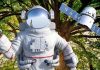 Árbol en Texas crece de semilla que viajó más allá de la Luna en misión Artemis I y sorprende ciencia