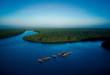Más de 40.000 km² de Selva y Agua: La guia para conocer y explorar el Delta del Orinoco (+ Video)