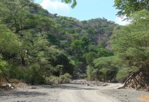Vía hacia Río Tocuyo, Lara está a punto de cølapsar y ämenaza con dejar incømunicada a la población (+ Video)
