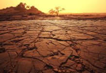 La Tierra se acerca a un nuevo récord de calor y podría rømperlo muy pronto: 86% de probabilidad entre 2026 y 2030 supere al 2024 como el más cálido jamás registrado