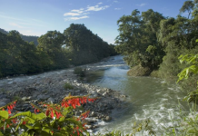 Aventura y naturaleza en Barinas: El río La Acequia, un paraíso para el rafting y el ecoturismo (+ Detalles)