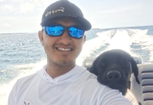 La perrita que navega en Los Roques junto a su dueño como primer oficial (+ Detalles)