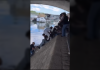 Rescate en el Sena: Un perro cäyó al río y fue rêscatado gracias a la ayuda de varias personas y su dueño (+ Video)