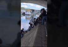 Rescate en el Sena: Un perro cäyó al río y fue rêscatado gracias a la ayuda de varias personas y su dueño (+ Video)