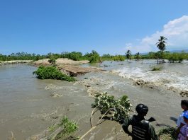 Desbord@miento del río Yaracuy afectó a productores de Santa María, Marimón y Durute tras las lluvias del fin de semana