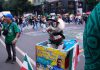 Osito, el perro rescątado que conquista corazones en el Mundial: vestido con los colores de la selección mexicana (+ Detalles)