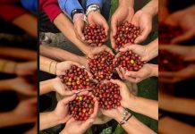 Primer Encuentro Binacional del Café culmina hoy en el Centro Cultural Chacao: Colombia y Venezuela discuten exportación y cadena productiva
