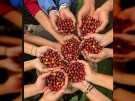 Primer Encuentro Binacional del Café culmina hoy en el Centro Cultural Chacao: Colombia y Venezuela discuten exportación y cadena productiva