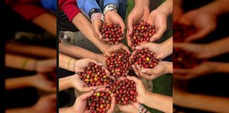 Primer Encuentro Binacional del Café culmina hoy en el Centro Cultural Chacao: Colombia y Venezuela discuten exportación y cadena productiva