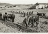 Los nacidos en las décadas de 1950 y 1960 comenzaron a trabajar a temprana edad por necesidad y no por vocación