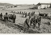 Los nacidos en las décadas de 1950 y 1960 comenzaron a trabajar a temprana edad por necesidad y no por vocación