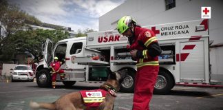 Cruz Roja Mexicana garantiza la seguridad sanitaria en el Mundial de Fútbol 2026: por solicitud de la FIFA tendrá permanencia en el Estadio Azteca
