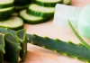 Conoce cuáles son los beneficios del aloe vera para la piel: aprende a aplicarlo para aprovechar su efecto