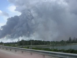 Reportan incendio de maleza en los Everglades que impacta la calidad del aire en Doral y Hialeah