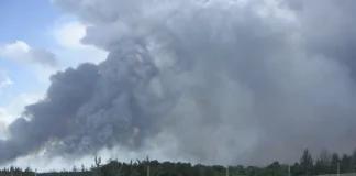 Reportan incendio de maleza en los Everglades que impacta la calidad del aire en Doral y Hialeah