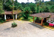 Estancia La Bravera: el santuario natural en el Bosque San Eusebio que invita a la desconexión total en Mérida (+ Fotos)