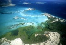 Activan Plan de Rehabilitación y Transformación Integral en el Parque Nacional Archipiélago Los Roques (+ Detalles)