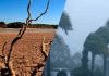 Alertä en Argentina: diseñan planes de ev@cuación ante el imp@cto del fenómeno de El Niño y el riesgÖ de inund@ciones