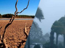Alertä en Argentina: diseñan planes de ev@cuación ante el imp@cto del fenómeno de El Niño y el riesgÖ de inund@ciones
