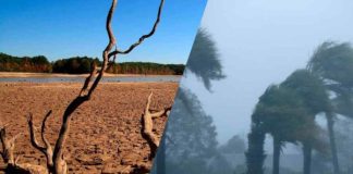 Alertä en Argentina: diseñan planes de ev@cuación ante el imp@cto del fenómeno de El Niño y el riesgÖ de inund@ciones