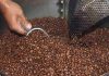 Más allá del petróleo, lo hecho en Venezuela busca espacio en el mundo: Café y especias lideraron exportaciones no petroleras hacia EEUU en el primer trimestre 2026