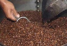 Más allá del petróleo, lo hecho en Venezuela busca espacio en el mundo: Café y especias lideraron exportaciones no petroleras hacia EEUU en el primer trimestre 2026