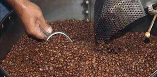 Más allá del petróleo, lo hecho en Venezuela busca espacio en el mundo: Café y especias lideraron exportaciones no petroleras hacia EEUU en el primer trimestre 2026