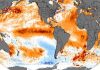 Prevención climática: así busca Sri Lanka asegurar sus alimentos y agua potable (+ Detalles)