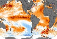 Prevención climática: así busca Sri Lanka asegurar sus alimentos y agua potable (+ Detalles)