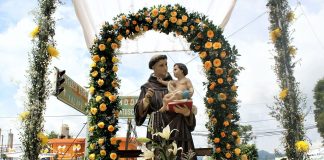 A 12 años de ser Bien de Interés Cultural: más de 70 agrupaciones larenses rinden tributo a San Antonio de Padua este 13 de junio