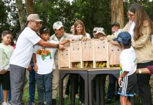 Soberanía ambiental: fueron liberadas 400 aves en el Waraira Repano rescâtadas del tráficø ilícitø resarciendo daños y protegiendo la biodiversidad