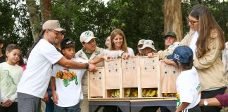 Soberanía ambiental: fueron liberadas 400 aves en el Waraira Repano rescâtadas del tráficø ilícitø resarciendo daños y protegiendo la biodiversidad