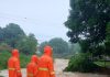 Despliegan Plan de Canalización en Portuguesa: construyen bermas y muros de contención en ríos para mitigar el impacto de las lluvias