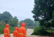 Despliegan Plan de Canalización en Portuguesa: construyen bermas y muros de contención en ríos para mitigar el impacto de las lluvias