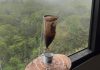 Buen café durante la temporada lluviosa: el encanto del goteo artesanal bajo la naturaleza venezolana (+ Video)