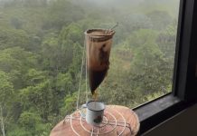 Buen café durante la temporada lluviosa: el encanto del goteo artesanal bajo la naturaleza venezolana (+ Video)