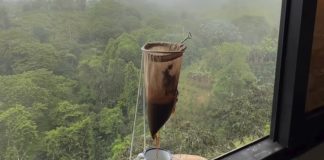 Buen café durante la temporada lluviosa: el encanto del goteo artesanal bajo la naturaleza venezolana (+ Video)
