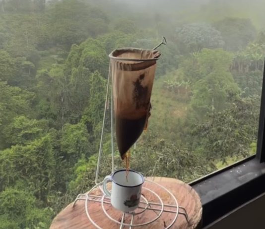Buen café durante la temporada lluviosa: el encanto del goteo artesanal bajo la naturaleza venezolana (+ Video)