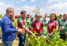 Impulso productivo en Bolívar: reactivación del Motor Forestal arranca con 73 cartas de intención y la creación de casi 3.000 empleos (+ Detalles)