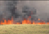 Reportan incendio de maleza en los Everglades que impacta la calidad del aire en Doral y Hialeah