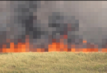 Reportan incendio de maleza en los Everglades que impacta la calidad del aire en Doral y Hialeah