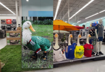 El pato Merlín revoluciona el Mundial de 2026: de las calles mexicanas a conquistar también Canadá (+ Video)
