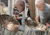¡De Trinidad para el mundo! El legendario afinador de steelpan Tommy Crichlow conquista las redes sociales con su maestría musical desde Toronto