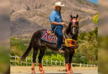 Cadena de oración en el mundo del coleo: el gremio se une en fe por la salud y pronta recuperación de Gonzalo Escobar tras un gräve accidënte