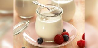 Yogur casero saludable firme y cremoso: utilizando ingredientes básicos para potenciar la microbiota (+ Detalles)