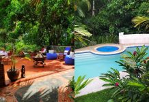 Más que un hospedaje, una terapia natural: Casa María Bugparadise redefine el turismo sostenible desde el corazón de las montañas de Carabobo (+ Fotos)